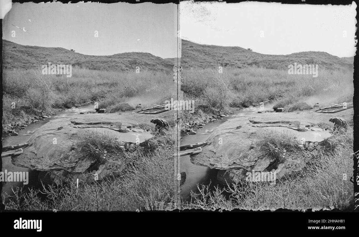 Is Near Stronger Than Anya Forger in Their Anime Showdown?